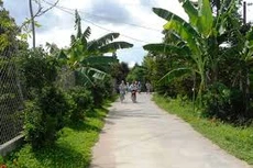 Ngày 10/1/2020, đấu giá quyền sử dụng đất tại huyện Cai Lậy, tỉnh Tiền Giang