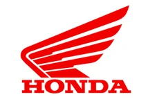 Ngày 19/12/2019, đấu giá phương tiện vi phạm hành chính bị tịch thu sung quỹ tại tỉnh Gia Lai