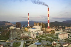 Ngày 16/12/2019, đấu giá vật tư thiết bị dự phòng NM 110MW tại tỉnh Quảng Ninh