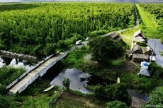 Ngày 6/12/2019, đấu giá quyền sử dụng đất tại huyện U Minh, tỉnh Cà Mau