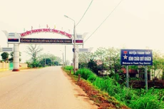 Ngày 28/11/2019, đấu giá quyền sử dụng 10 ô đất tại huyện Thanh Thủy, tỉnh Phú Thọ