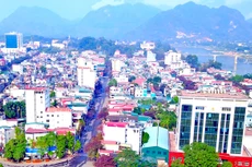 Ngày 30/11/2019, đấu giá quyền sử dụng đất tại thành phố Tuyên Quang, tỉnh Tuyên Quang