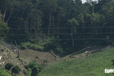 Phá rừng làm nương rẫy rại rừng phòng hộ Chư Mố.