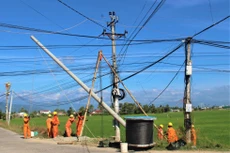 Điện lực Khánh Hòa tổ chức diễn tập phòng chống thiên tai và tìm kiếm cứu nạn năm 2019