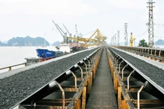 Ảnh chỉ mang tính minh họa. Nguồn Internet