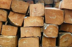 Ngày 18/11/2019, đấu giá tài sản tịch thu tại tỉnh Phú Yên