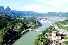 Ngày 23/12/2019, đấu giá quyền sử dụng đất tại huyện Na Hang, tỉnh Tuyên Quang