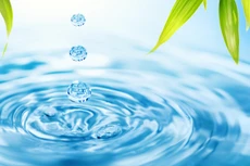 Ảnh chỉ mang tính minh họa. Nguồn Internet