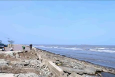 Ảnh chỉ mang tính minh họa. Nguồn Internet