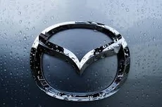 Ngày 6/12/2019, đấu giá lô xe ô tô tại tỉnh Bình Phước