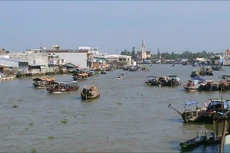 Ngày 19/12/2019, đấu giá quyền sử dụng đất và công trình xây dựng trên đất tại huyện Cái Bè, tỉnh Tiền Giang