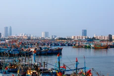 Ảnh minh họa: Internet