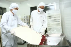 Ninh Bình: 55 nhà thầu tham dự mua thuốc tập trung cấp địa phương 