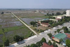 Ảnh minh họa: Internet