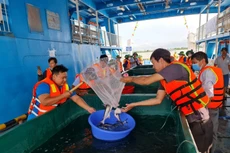 Ảnh minh hoạ Internet