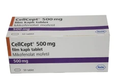 Ảnh minh họa: Internet