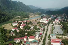 Ảnh minh họa: Internet
