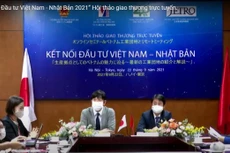 Dòng vốn nước ngoài sẽ tăng trở lại khi dịch Covid-19 kết thúc