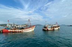 Khởi động Dự án Bảo tồn môi trường sống ven biển ĐBSCL