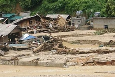 Ảnh minh họa Internet