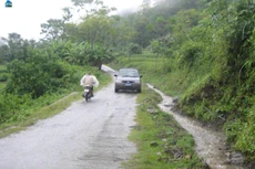 Ảnh chỉ mang tính minh họa. Nguồn Internet