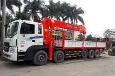 Ảnh minh họa (Internet)