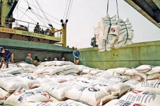 Thủ tướng đề nghị tạm dừng ký hợp đồng xuất khẩu gạo mới (ảnh: Internet)