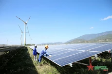 Ảnh minh họa (nguồn: Internet)