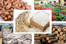 Xuất khẩu nông sản Việt Nam trong tháng 01/2021 tăng 22,7% so với cùng kỳ năm 2020 (ảnh: Internet)