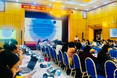 Bà Trịnh Thị Hương, Phó Cục trưởng Cục Phát triển doanh nghiệp thuộc Bộ Kế hoạch và Đầu tư phát biểu khai mạc Hội thảo tham vấn về Sách Trắng cho doanh nghiệp nhỏ và vừa do phụ nữ làm chủ ngày 10/4, tại Trụ sở Bộ Kế hoạch và Đầu tư