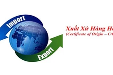 Việc kịp thời ban hành mẫu C/O mới giúp tháo gỡ vướng mắc của một số doanh nghiệp khi xuất khẩu sang một số thị trường CPTPP (ảnh: Internet)