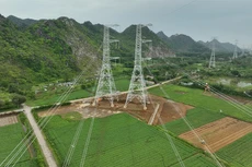 Gói thầu số 39 Dự án Đường dây 500kV Nhà máy Nhiệt điện Nam Định I - Thanh Hóa nằm trên địa bàn huyện Nga Sơn (Thanh Hóa), gồm 16 vị trí móng (ảnh: XT) 