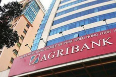 Chính phủ đề nghị bổ sung 3.500 tỷ đồng vốn điều lệ cho Agribank (ảnh: Internet)
