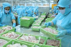Xuất khẩu thủy sản trong tháng 3/2020 của Việt Nam giảm gần 20% so với cùng kỳ năm 2019 (ảnh: Internet)