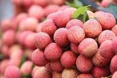 Bộ Công Thương đề nghị các địa phương các tỉnh biên giới phối hơp thúc đẩy xuất khẩu nông sản. Ảnh: Internet