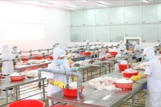 Thực hiện giãn cách trong khu vực chế biến thủy sản tại một doanh nghiệp thủy sản khu vực phía Nam (ảnh: Internet)