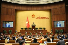 Thừa ủy quyền của Thủ tướng Chính phủ, Bộ trưởng Bộ Công Thương Nguyễn Hồng Diên trình bày Tờ trình của Chính phủ về cơ chế, chính sách đặc thù đầu tư xây dựng Dự án Điện hạt nhân Ninh Thuận (ảnh: CT)