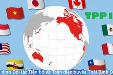 CPTPP có sự tham gia của 11 quốc gia, trong đó có Việt Nam. (Ảnh: Internet)
