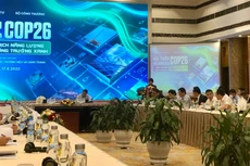 Thứ trưởng Bộ Kế hoạch và Đầu tư Nguyễn Thị Bích Ngọc phát biểu tại Hội thảo. Ảnh Việt Anh