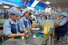 DNNVV Việt Nam chiếm hơn 97% doanh nghiệp ở Việt Nam nhưng sự phát triển của khối doanh nghiệp này vẫn còn bộc lộ nhiều hạn chế, chưa tham gia được vào các chuỗi giá trị khu vực và toàn cầu (Ảnh minh họa: Internet)