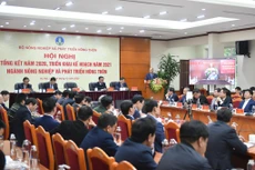 Thủ tướng Chính phủ Nguyễn Xuân Phúc phát biểu chỉ đạo tại Hội nghị trực tuyến tổng kết ngành nông nghiệp và phát triển nông thôn năm 2020 (ảnh: CP)