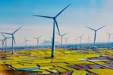 Theo Bộ Công Thương, trong Dự thảo Quy hoạch điện VIII cập nhật, các nguồn điện năng lượng tái tạo tiếp tục được ưu tiên phát triển với tỷ lệ hợp lý, hài hòa (ảnh: Internet)