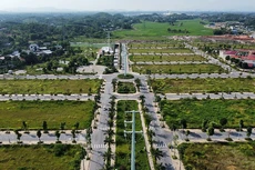 Ảnh minh họa (nguồn Internet)