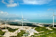 Ảnh minh họa: Internet