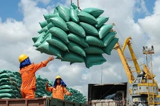 Cục Xuất nhập khẩu Bộ Công Thương nhận định, hoạt động xuất khẩu gạo sẽ gặp không ít khó khăn do cảng Tân Cảng Hiệp Phước phải ngừng dịch vụ do liên quan đến Covid-19 (ảnh: Internet)