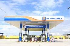43 cơ sở nhà, đất của Tập đoàn Xăng dầu Việt Nam tại tỉnh Hòa Bình và tỉnh Lào Cai được phê duyệt phương án sắp xếp, xử lý. (Ảnh minh họa: internet)