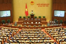 Quốc hội quyết thí điểm tổ chức chính quyền đô thị tại TP. Hà Nội, không có HĐND phường