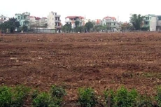 Đấu giá quyền sử dụng đất thành phố Quy Nhơn, tỉnh Bình Định