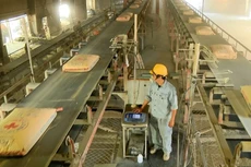 Đến hết năm 2025, 100% dây chuyền sản xuất xi măng có công suất từ 2.500 tấn clinker/ngày trở lên phải lắp đặt và vận hành hệ thống phát điện tận dụng nhiệt dư. Ảnh: NC st