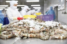 Xuất khẩu nông, lâm, thủy sản tăng 15,1%